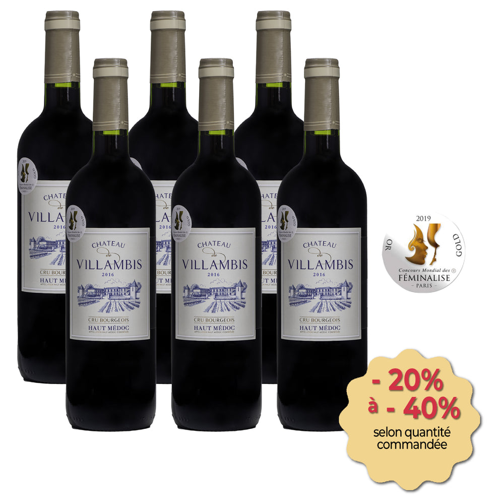 Château de Villambis 2016 (carton de 6 bouteilles)