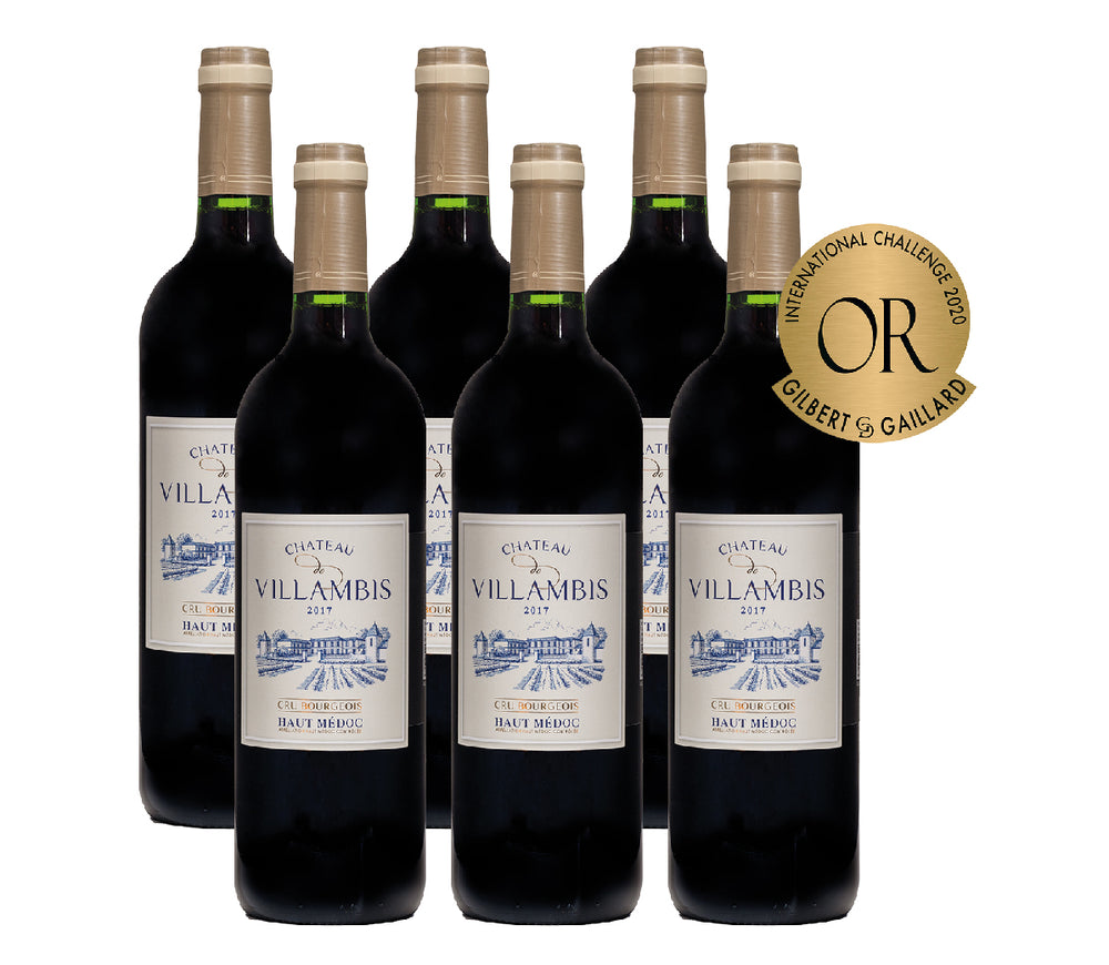 Château de Villambis 2017 (carton de 6 bouteilles)