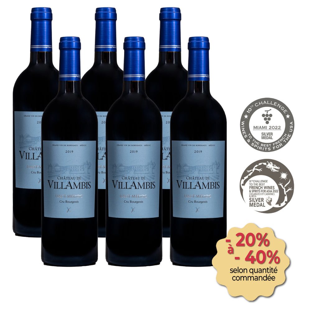 Château de Villambis 2019 (carton de 6 bouteilles)