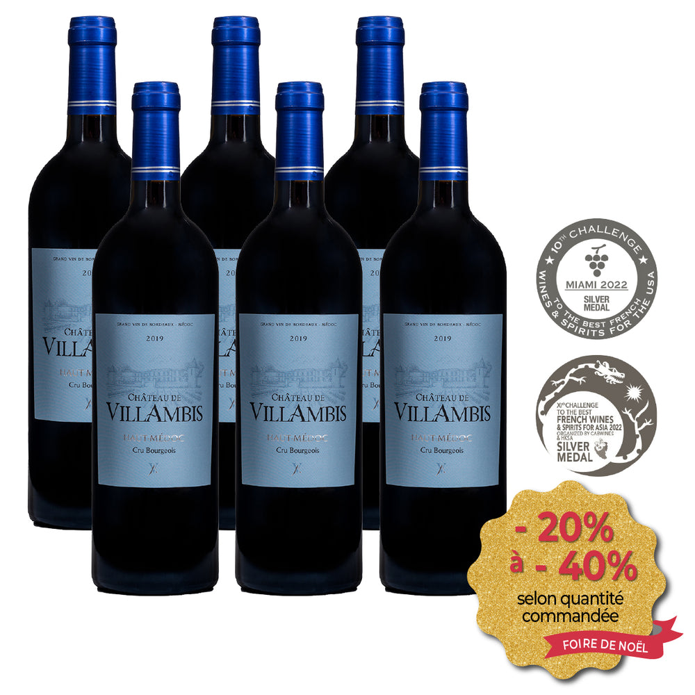 Château de Villambis 2019 (carton de 6 bouteilles)